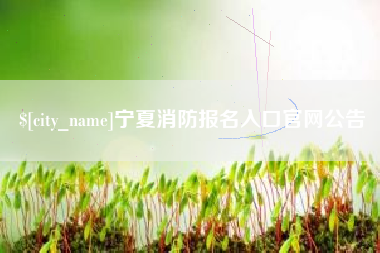 焦作宁夏消防报名入口官网公告