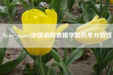 焦作中国消防救援学院历年分数线