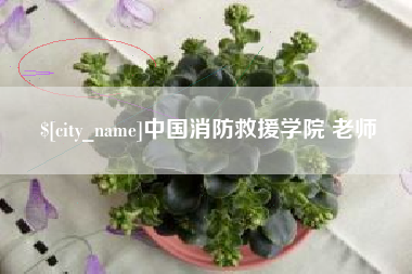 焦作中国消防救援学院 老师
