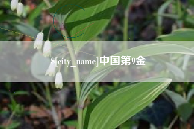 焦作中国第9金