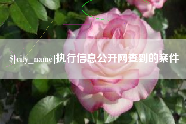 焦作执行信息公开网查到的案件