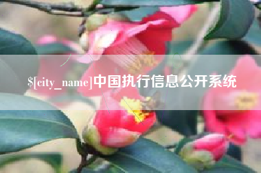 焦作中国执行信息公开系统