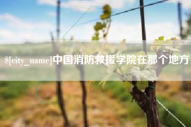 焦作中国消防救援学院在那个地方