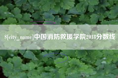 焦作中国消防救援学院2018分数线