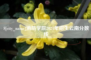 焦作消防学院2024年招生云南分数线