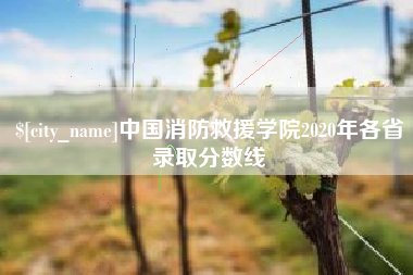 焦作中国消防救援学院2020年各省录取分数线
