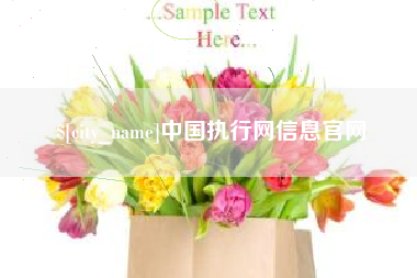 焦作中国执行网信息官网