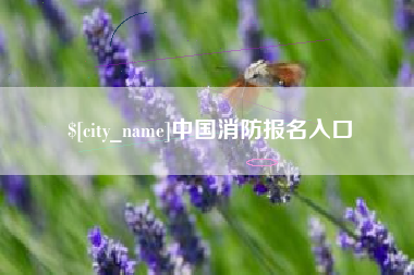 焦作中国消防报名入口