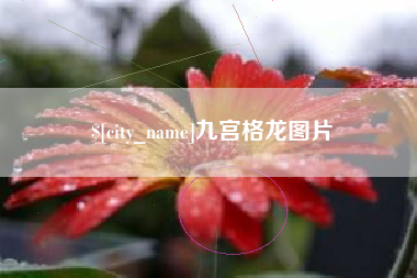 焦作九宫格龙图片
