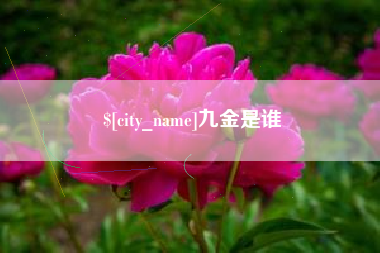 焦作九金是谁