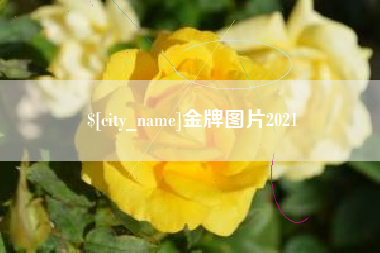 焦作金牌图片2021