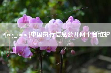 焦作中国执行信息公开网平台维护
