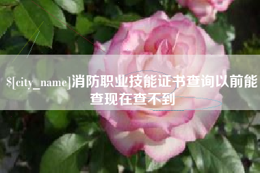焦作消防职业技能证书查询以前能查现在查不到
