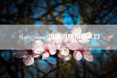 焦作国家消防报名入口