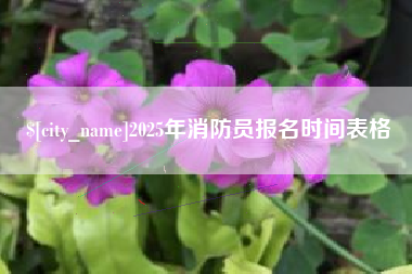 焦作2025年消防员报名时间表格