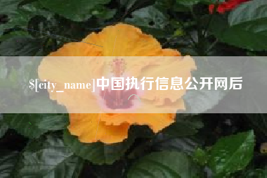 焦作中国执行信息公开网后