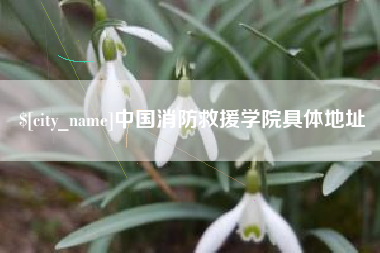 焦作中国消防救援学院具体地址