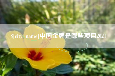 焦作中国金牌是哪些项目2021