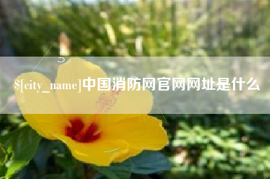 焦作中国消防网官网网址是什么