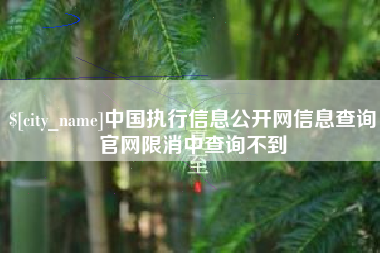 焦作中国执行信息公开网信息查询官网限消中查询不到
