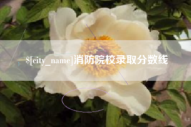 焦作消防院校录取分数线