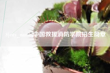焦作中国救援消防学院招生简章