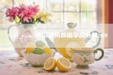 焦作中国消防救援学院分数2020