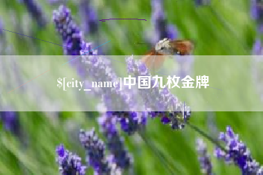 焦作中国九枚金牌