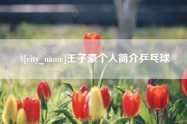 焦作王子豪个人简介乒乓球