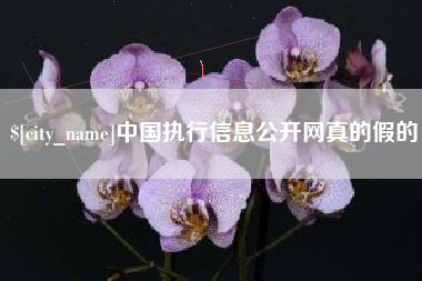 焦作中国执行信息公开网真的假的