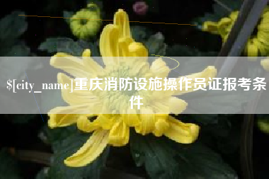 焦作重庆消防设施操作员证报考条件