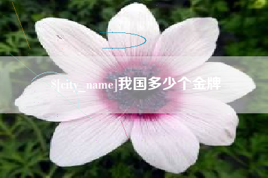焦作我国多少个金牌