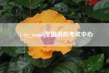 焦作全国消防考试中心