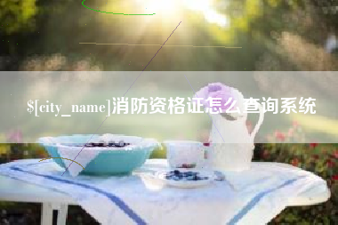 焦作消防资格证怎么查询系统