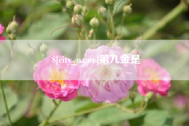 焦作第九金是