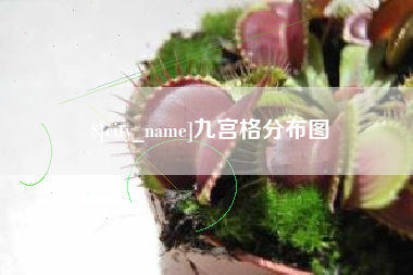 焦作九宫格分布图