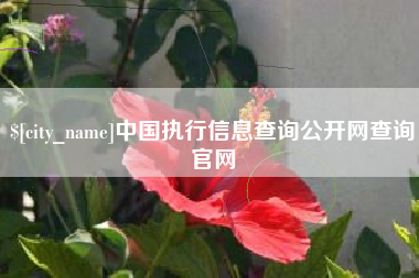 焦作中国执行信息查询公开网查询官网