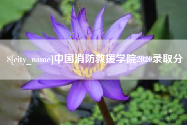 焦作中国消防救援学院2020录取分