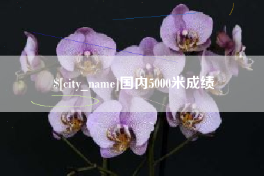 焦作国内5000米成绩