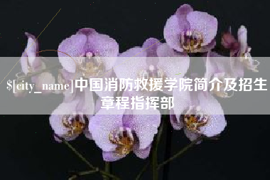 焦作中国消防救援学院简介及招生章程指挥部