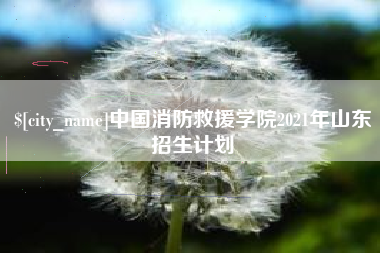 焦作中国消防救援学院2021年山东招生计划