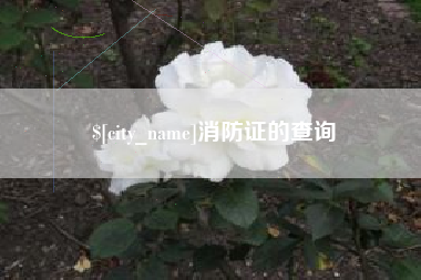 焦作消防证的查询
