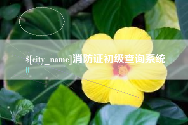 焦作消防证初级查询系统