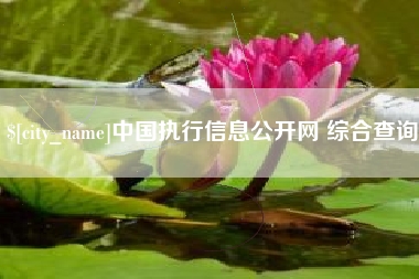 焦作中国执行信息公开网 综合查询