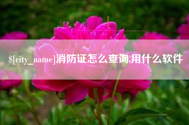 焦作消防证怎么查询,用什么软件