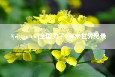 焦作全国男子5000米世界纪录