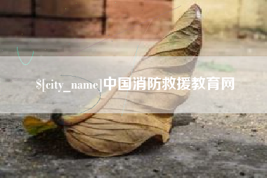 焦作中国消防救援教育网
