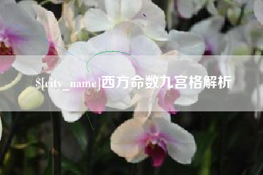 焦作西方命数九宫格解析