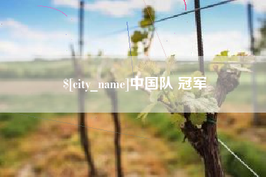 焦作中国队 冠军