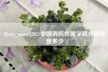 焦作2021中国消防救援学院分数线是多少